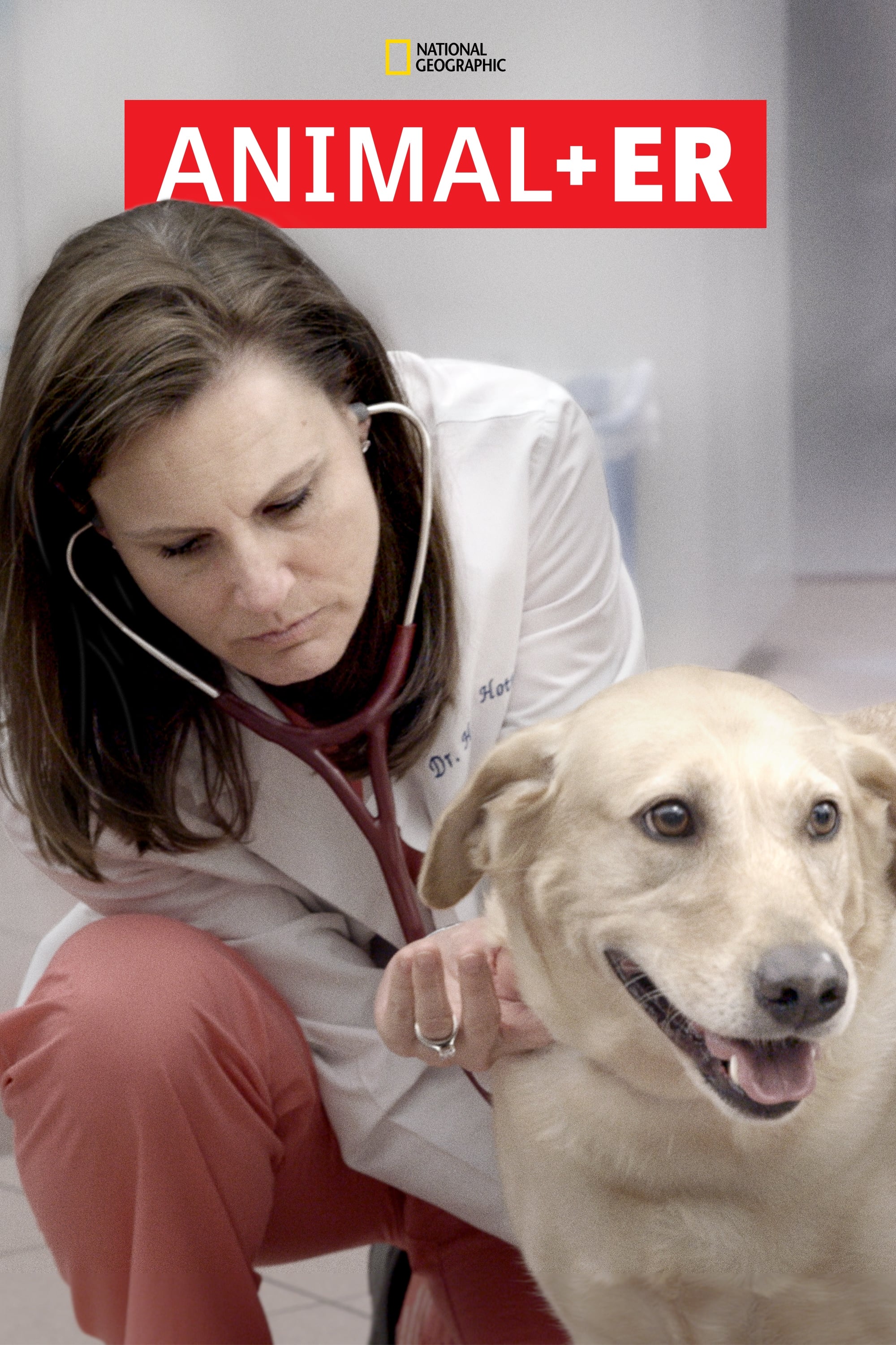 Animal ER - Season 2 Episode 1 Watch Online in HD on Putlocker